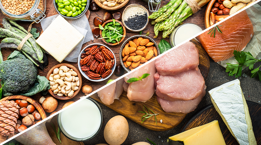 Plant Proteins vs Animal Proteins