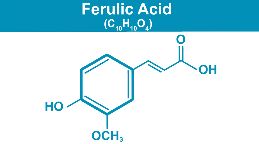 Ferulic Acid