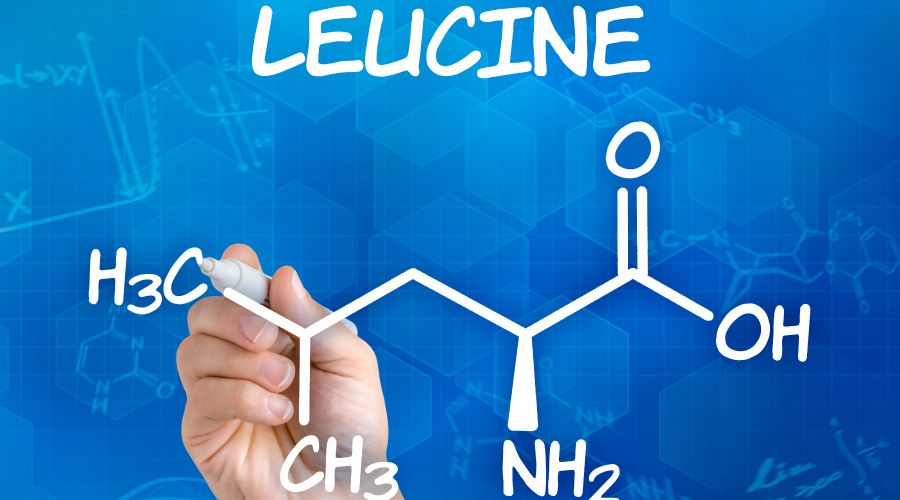 Benefits of Leucine for hair