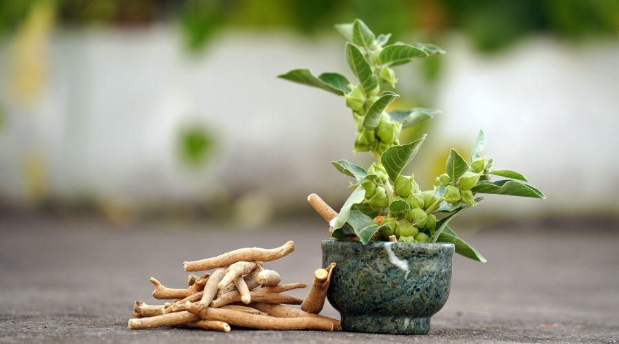 Advantages of Ashwagandha