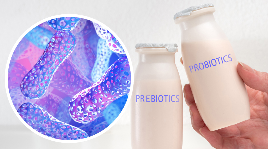 Difference Between Prebiotics and Probiotics